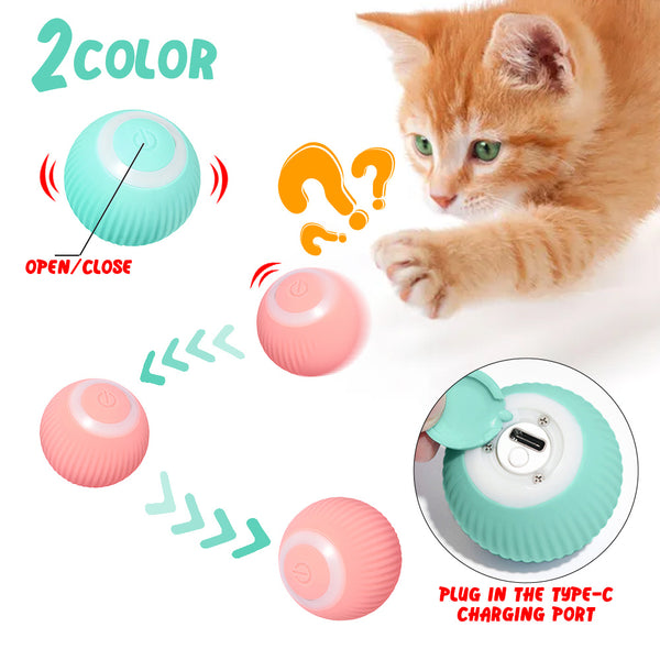 TGS - Pet  Ball Prey Toy